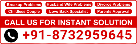 Astrologer  Mansih Ji